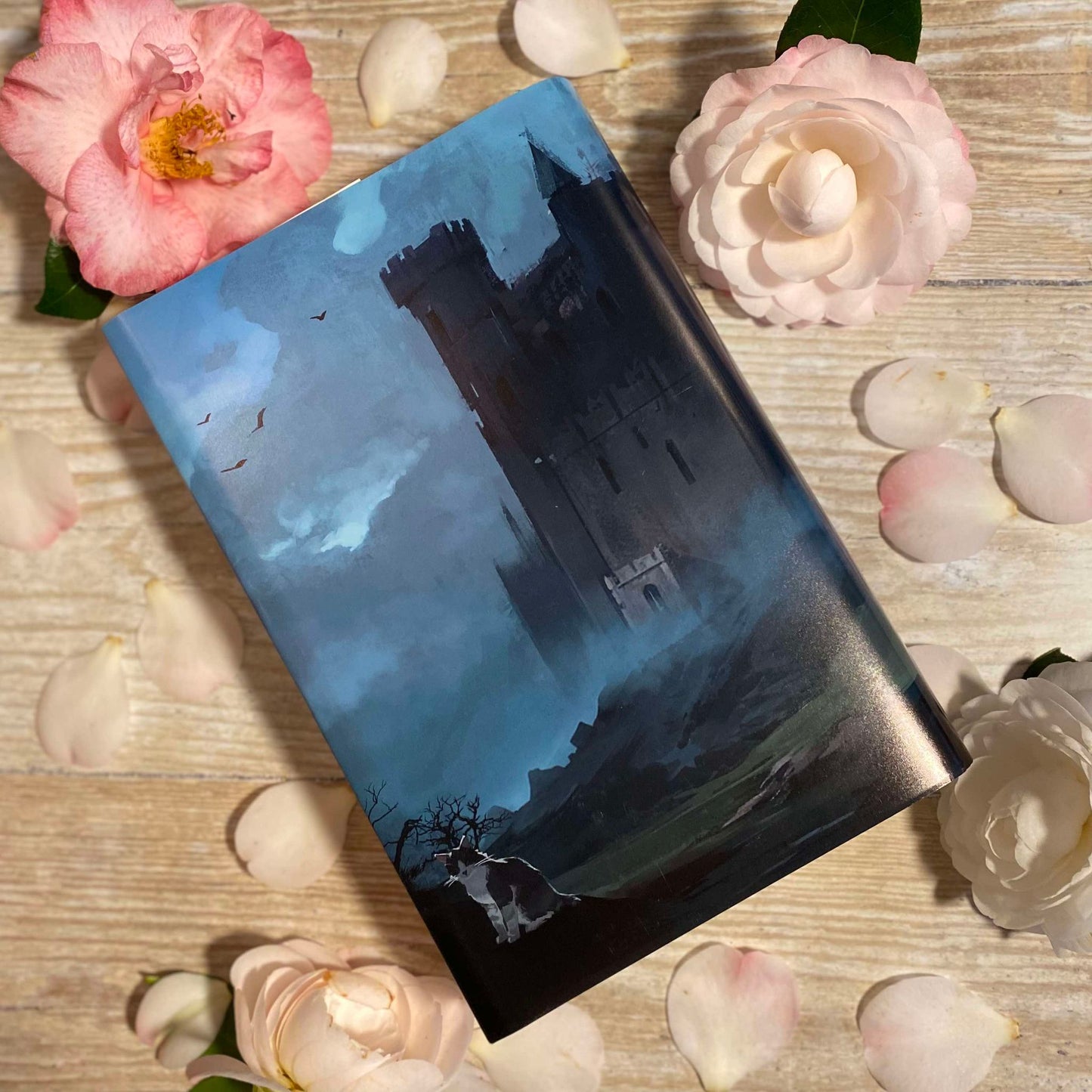 The Prison Healer Dust Jacket Set Preorder